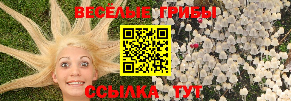Псилоцибиновые грибы прущие грибы Ивантеевка