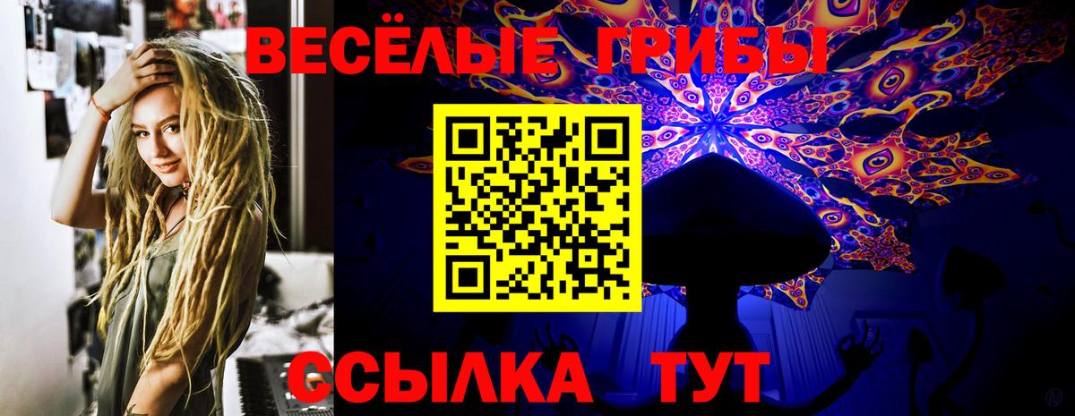 Ивантеевка  Галлюциногенные грибы Psilocybe  Вход с VPN 